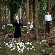 Two Destination Language